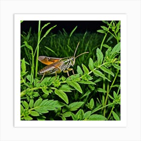 Crickets Insects Chirping Jumping Green Legs Antennae Noise Hopper Herbivores Garden Fiel (7) Art Print