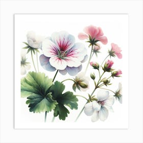 Flower of Geranium Art Print