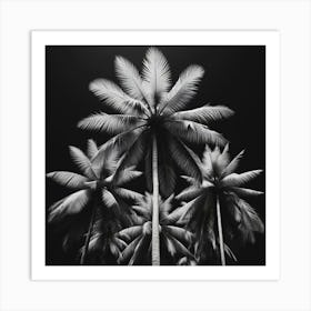 Black And White Palm Trees Art Print