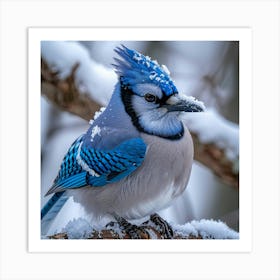 Blue Jay 5 Art Print