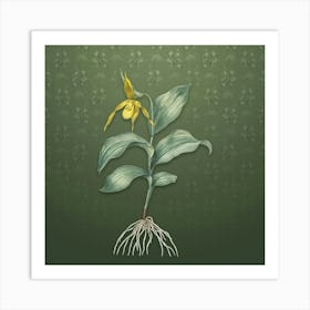 Vintage Lady's Slipper Orchid Botanical on Lunar Green Pattern n.1008 Art Print