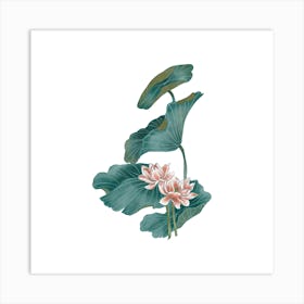 Lotus Flower 54 Art Print