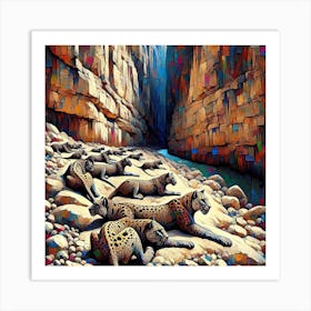 Leopards In The Canyon Art Print