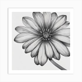 Gerbera Daisy Art Print