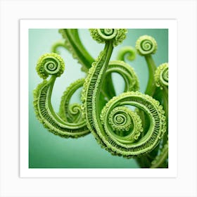 Spiral Fern 3 Art Print