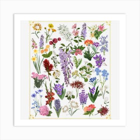 Vintage Botanical Art Flower Gift For Plant Growers Art Print