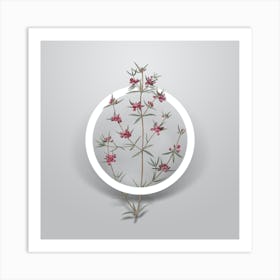 Vintage Heath Mirbelia Branch Minimalist Flower Geometric Circle on Soft Gray n.0477 Art Print