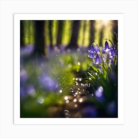 Sunlit Bluebells and Puddles on the Woodland Floor Art Print