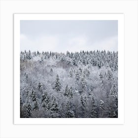 White Winter Forest Square Art Print