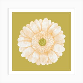 Gerber Daisy Art Print