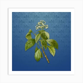 Vintage Climbing Hydrangea Botanical on Bahama Blue Pattern n.1000 Art Print