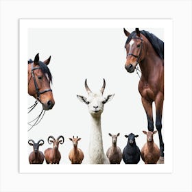 Group Of Horses And Animals Art Print