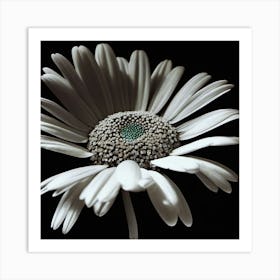 Daisy, Black And White, Dot Of Color, Lighting Art Print