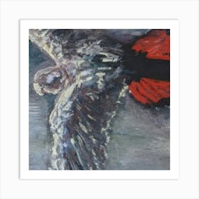 Eagle In Flight Art Print