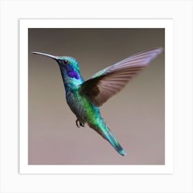 Hummingbird - Hummingbird Stock Videos & Royalty-Free Footage Art Print