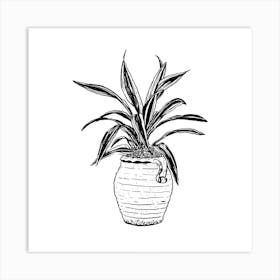 Dracaena Square Art Print