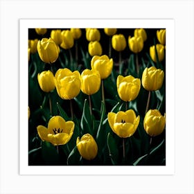 Yellow Tulips Art Print