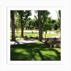 Park With Trees Art Print