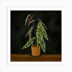 Begonia Maculata (Black background) Art Print