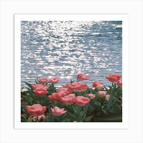 Pink Tulips Art Print