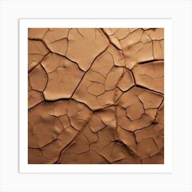 Dry Cracked Earth 2 Art Print