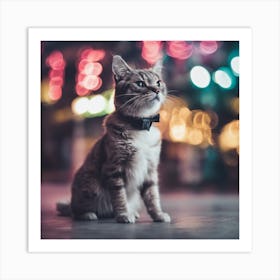 Cat At Night Art Print