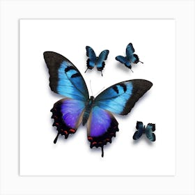 Blue Butterfly Art Print