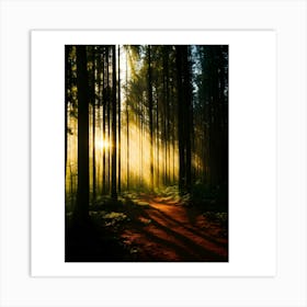 Sunbeams In The Forest 3 Art Print