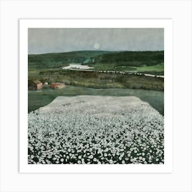 Moonlight Over A Field Of Daisies Art Print