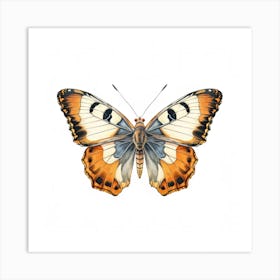 Butterfly 4 Art Print