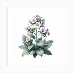 Flower of Lungwort 2 Art Print