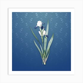 Vintage Tall Bearded Iris Botanical on Bahama Blue Pattern n.1426 Art Print