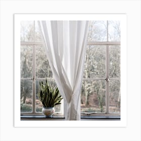 The Windows The White Curtans And The Green Square Art Print