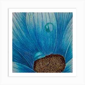 Blue Gerbera 2 Art Print