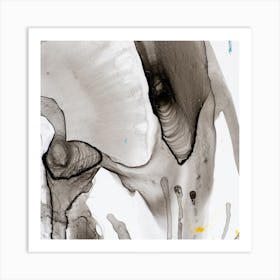 Equine Anatomy Art Print