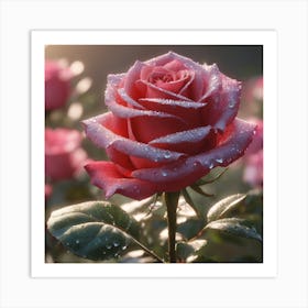 Rose of Romance Art Print