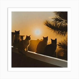 Pretty Sun over cats Art Print