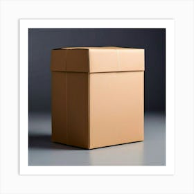 Cardboard Box 8 Art Print