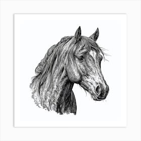 Horse Head Drawing Art Print