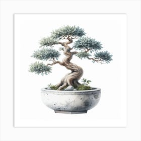 Bonsai 1 Art Print