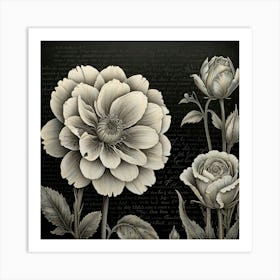 Black And White Flowers 1 Art Print