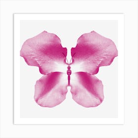 Pink Rose Petal Butterfly Art Print