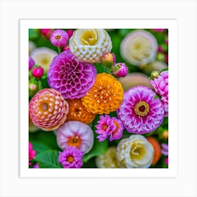 Dahlias 1 Art Print