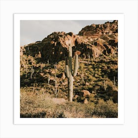 Desert Cactus Scenery Art Print