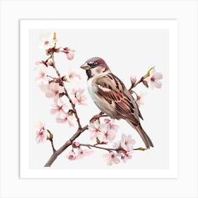 Sparrow In Cherry Blossoms 1 Art Print