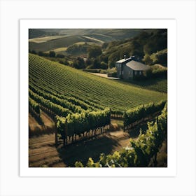 California Vineyard Art Print