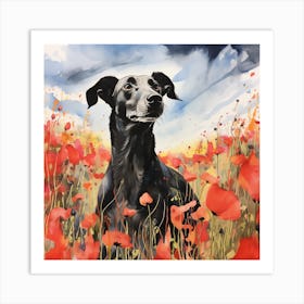 Black Greyhound portrait in Poppy Field Art Print