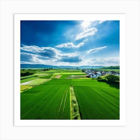 Aerial View Of Rice Fields In Japan Art Print