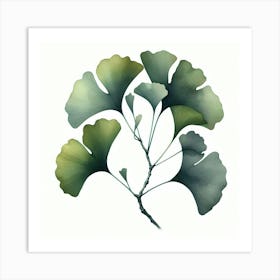 Gingko, watercolour Art Print