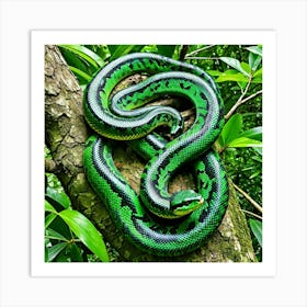 Green Python 3 Art Print